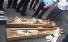 Tạm đình chỉ điều tra 4 vụ buôn lậu ngà voi năm 2016