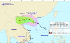 Dự báo thời tiết hôm nay 1.8.2019: Tin bão khẩn cấp, bão số 3