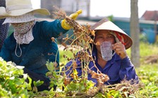 Dự báo thời tiết hôm nay 28.6.2020: Bắc bộ nắng nóng, chìm trong 'chảo lửa'