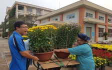 Tết Canh Tý: Trồng hoa cực lắm, xin đừng trả giá nữa chú ơi!