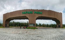 Bình Định sẽ có công viên động vật hoang dã độc đáo