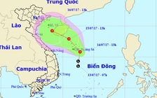 Áp thấp nhiệt đới trên Biển Đông giật cấp 8