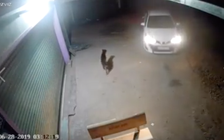 VIDEO: Nhóm người đi xe hơi bắt trộm chó yêu, khiến cư dân mạng phẫn nộ
