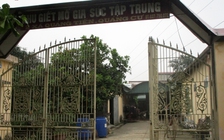 Các cơ sở giết mổ gia súc tiền tỉ 'chết yểu'