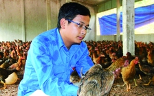 Bỏ làm thuê, về quê làm giàu