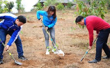 Viêm phổi Vũ Hán: Không tập trung đông người trong Tết trồng cây xuân Canh Tý