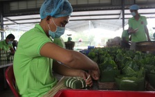 Đặc biệt trên báo in ngày 31.1.2016