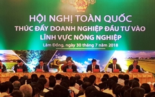 Chỉ 8% doanh nghiệp đầu tư vào nông nghiệp