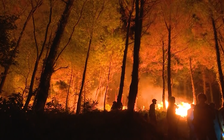 Căng sức dập lửa rừng