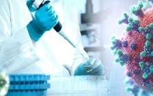 Phát hiện mới: Tiêu diệt SARS-CoV-2 bằng phiên bản lỗi của chính nó