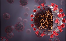 Phát minh xét nghiệm mới đo mức kháng thể chống lại SARS-CoV-2 trong vòng 30 phút