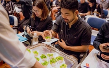 Bùng nổ thực phẩm côn trùng