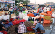 Biển Hà Tĩnh nhộn nhịp trở lại