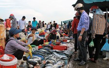 Đặc biệt trên báo in ngày 18.5.2018