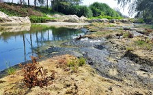 Ô nhiễm vì chất thải nuôi tôm