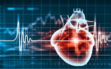 3 lợi ích đáng kinh ngạc của ca cao khiến bạn muốn thử ngay