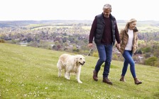 Tại sao đi bộ là bài tập thể dục tốt nhất?