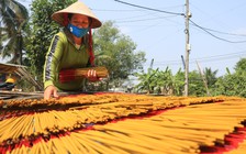 Làng nhang Lê Minh Xuân 'năm Covid': Không ngờ đơn hàng Tết nhiều hơn năm ngoái