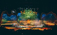 Hát để... trồng rừng