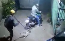 Táo tợn trộm chó ở vùng ven Sài Gòn