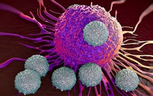 Bỗng dưng hết ung thư ở giai đoạn di căn, rồi mang thai, sinh con khỏe mạnh