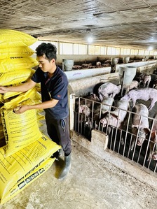 Heo, gà, bò... 'ăn' cả chung cư, sổ đỏ
