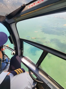 Du khách hồi hộp ngắm cảnh biển TP.HCM từ trực thăng