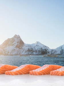 Câu chuyện chưa kể phía sau món sushi cá hồi Na Uy