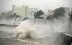 Biển Đông có thể đón bão hoặc áp thấp nhiệt đới ngay sau bão Koinu