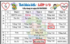 Hà Nội yêu cầu 'tuyệt đối không chèn giờ dạy liên kết vào chương trình chính khóa'