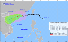 Tin tức thời tiết hôm nay 8.10.2023: Bão số 4 gây gió giật cấp 16