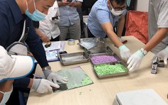 Tham gia 'Chiến dịch Con rồng Mê Kông', Hải quan TP.HCM bắt giữ 18 vụ vận chuyển ma túy