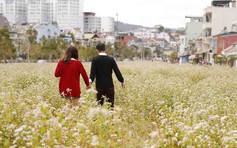 Vận động kết hôn trước 30 tuổi: Nhiều hệ lụy khi người trẻ cứ mãi độc thân