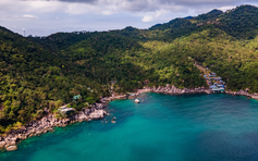 Lặn ngắm san hô tại Koh Tao - Thế giới đại dương muôn màu