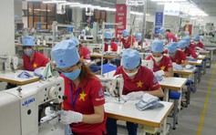 'Chưa bao giờ dệt may Việt Nam xuất khẩu đến nhiều thị trường như thế'