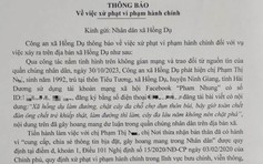 Hải Dương: Phạt người tung tin sai sự thật về chặt cây đa khiến nhiều người chết