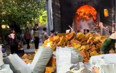 Thực hư vụ đốt 20 tấn vàng mã tại đền Tranh: Chính quyền nói gì?
