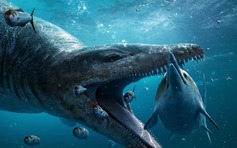 Khai quật hóa thạch ‘quái vật biển’ có niên đại 150 triệu năm