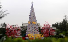 Cận cảnh cây thông Noel cao 8 m được làm từ 100.000 vỏ sò