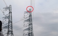 Người đàn ông nhậu say, 3 lần leo cột điện cao thế 500 kV