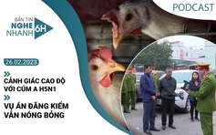 Nghe nhanh 6h ngày 26.2: Vụ án đăng kiểm vẫn nóng bỏng | Cảnh giác cao độ với cúm A H5N1