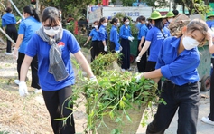 Ngày Chủ nhật xanh: Thanh niên chung tay làm sạch môi trường