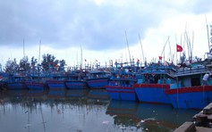 Quảng Ngãi: Một ngư dân tử vong trên biển chưa rõ nguyên nhân