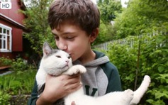 Chuyện lạ: Con mèo được gia đình tổ chức 'tang lễ' đã trở về sau 7 năm