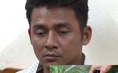 Bắt 24 nghi phạm cướp giật trong đêm khai trương hè Sầm Sơn