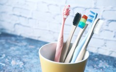 Có cần thay bàn chải đánh răng sau khi khỏi bệnh?