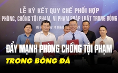 VFF và Cục Cảnh sát hình sự đẩy mạnh phòng chống tội phạm trong bóng đá