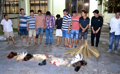 Bạc Liêu: Triệt xóa tụ điểm đá gà ăn tiền, bắt giữ 11 người