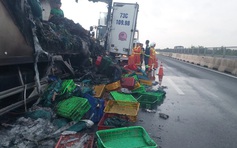 Xe tải chở ếch, ba ba cháy rụi trên cao tốc Trung Lương - Mỹ Thuận