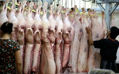Thứ trưởng Bộ NN-PTNT: 'Thịt lợn cứ luộc, kho tàu thì làm sao xuất khẩu được'